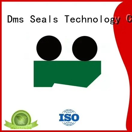 hydraulic ptfepu DMS Seal Manufacturer Brand hydraulic wiper seals 1