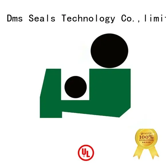 DMS Seal Manufacturer Brand scraper ptfe hydraulic custom hydraulic wiper seals 1