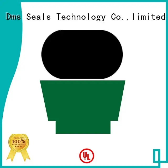 ptfe rod rod seals seal DMS Seal Manufacturer Brand 1