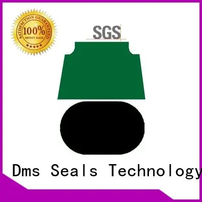 pneumatic piston seals ptfe oring Bulk Buy piston DMS Seal Manufacturer 1