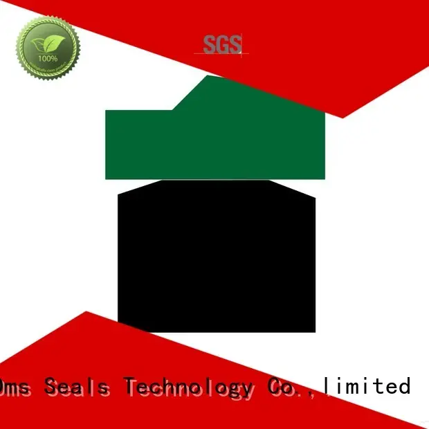 ptfe oring DMS Seal Manufacturer Brand pneumatic piston seals 1