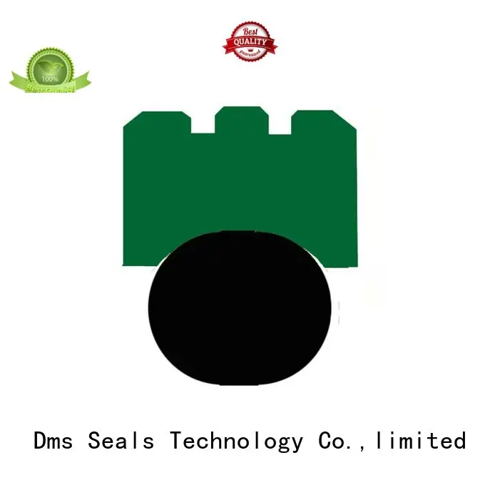 DMS Seal Manufacturer Brand rotary rotary seals hydraulic factory 1