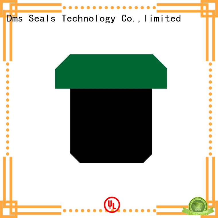 ptfe oring pneumatic piston seals piston nbrfkm DMS Seal Manufacturer Brand 1