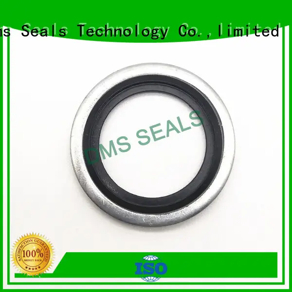 ptfe hydraulic seal metric bonded seals DMS Seal Manufacturer Brand 1