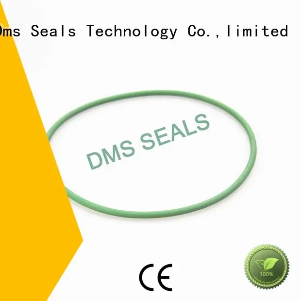 spring seal oring o-ring seal DMS Seal Manufacturer Brand company 1