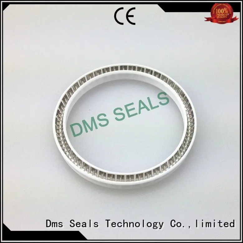 seal hydraulic spring spring energized seals DMS Seal Manufacturer 1