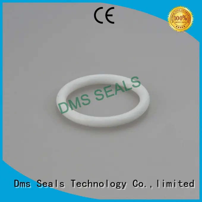 spring seal hydraulic o-ring seal oring DMS Seal Manufacturer 1