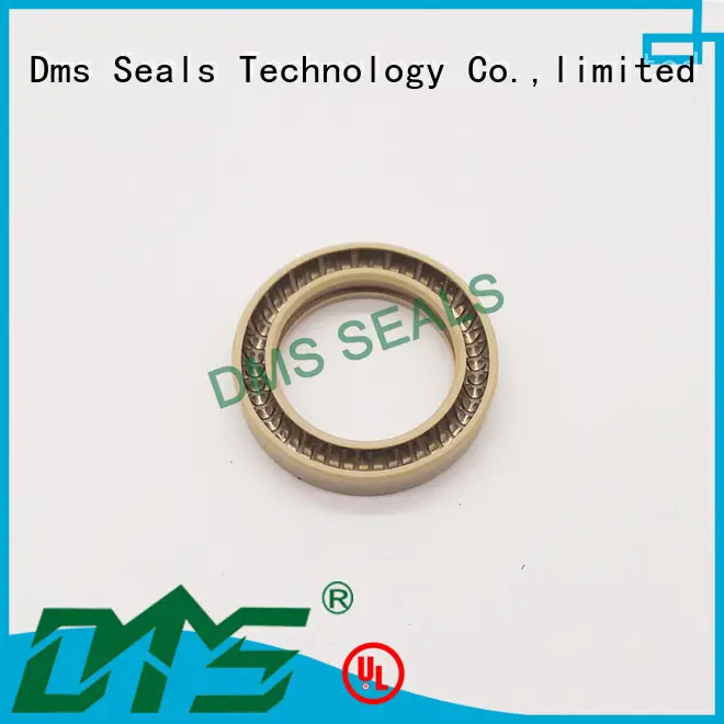 Wholesale seal spring energized seals DMS Seal Manufacturer Brand 1