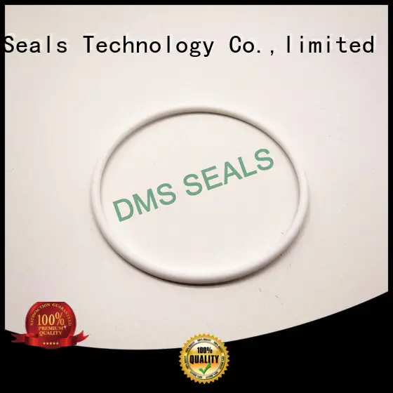 Quality DMS Seal Manufacturer Brand ptfe o-ring seal 1