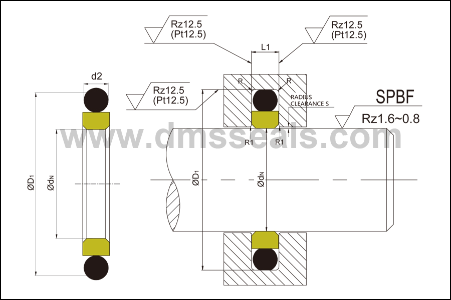 hydraulic rod seals ptfe oring Bulk Buy hydraulic DMS Seal Manufacturer 2