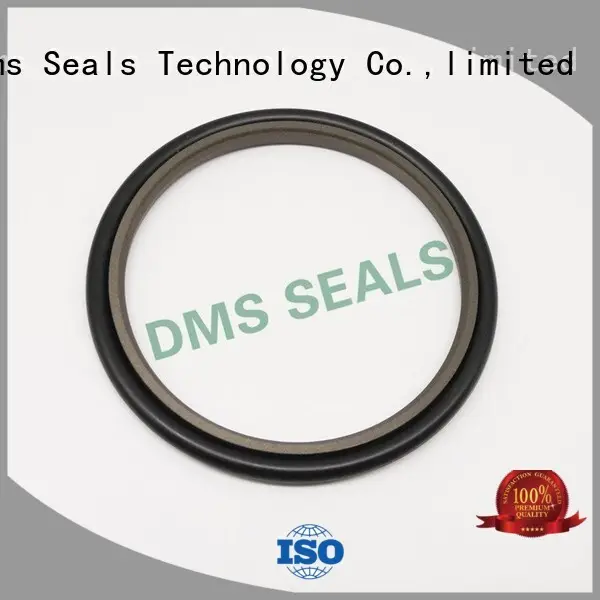 nbrfkm rod seals seal DMS Seal Manufacturer company 1