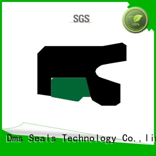 hydraulic Custom nbrfkm rod seals oring DMS Seal Manufacturer 1
