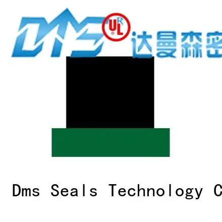 Quality DMS Seal Manufacturer Brand oring rod seals 1