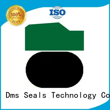 ptfe
 hydraulic
 DMS Seal Manufacturer Brand ptfe hydraulic pneumatic piston seals 1