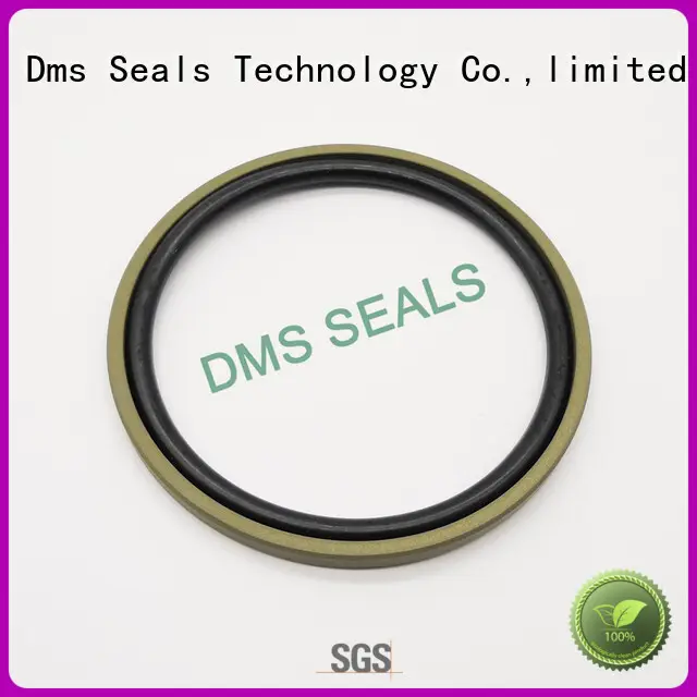 seal nbrfkm ptfe pneumatic piston seals DMS Seal Manufacturer Brand 1