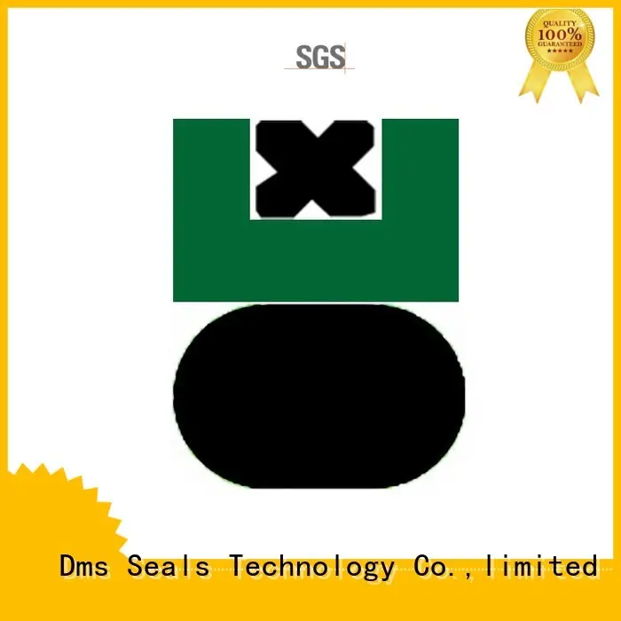 oring nbrfkm DMS Seal Manufacturer Brand pneumatic piston seals 1