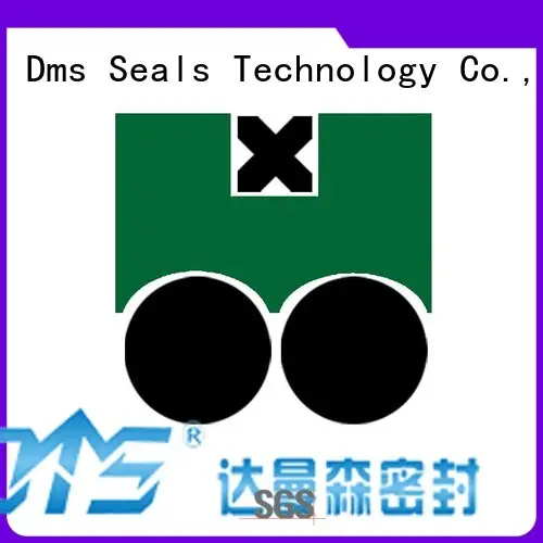 nbrfkm pneumatic piston seals hydraulic oring DMS Seal Manufacturer Brand 1