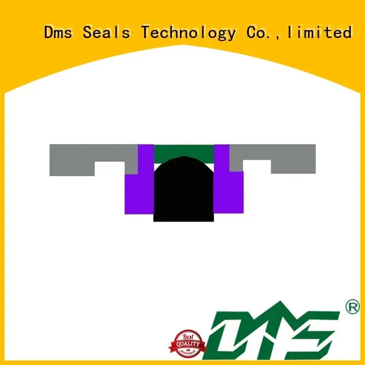 piston seal hydraulic OEM piston seals DMS Seal Manufacturer 1