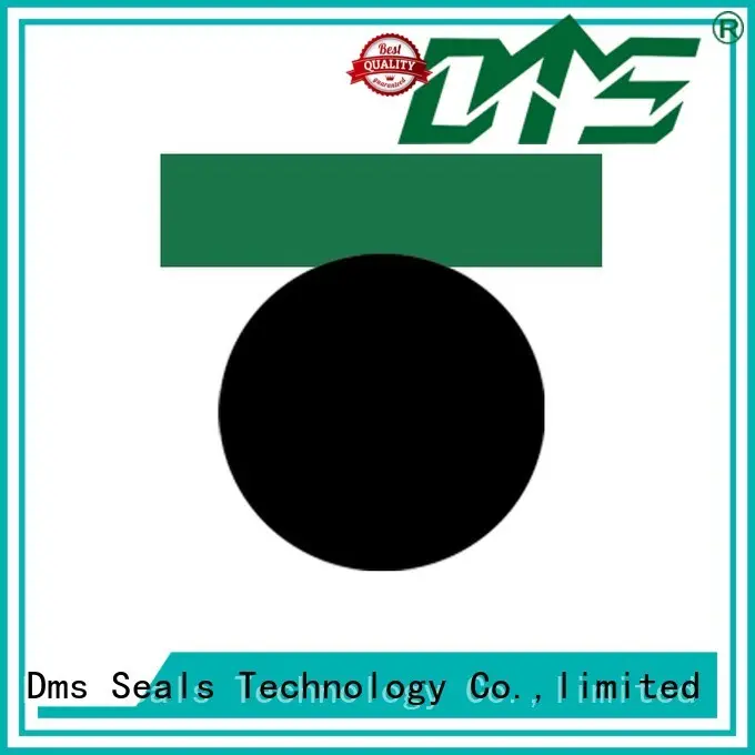 DMS Seal Manufacturer Brand hydraulic oring piston seals seal factory 1