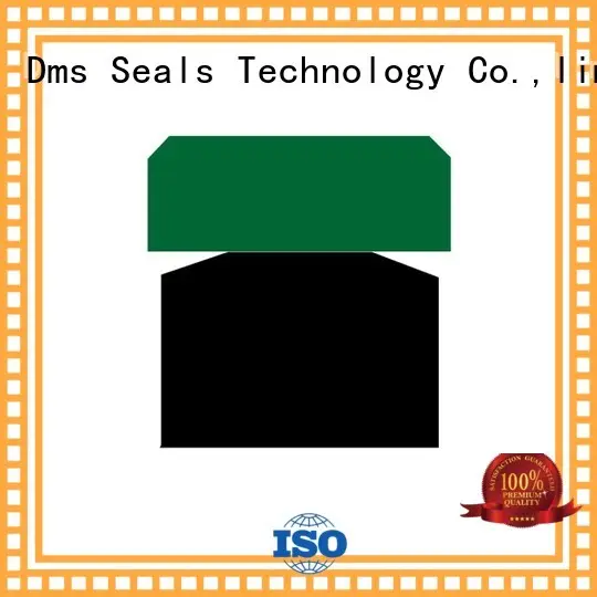 pneumatic piston seals piston ptfe piston seals nbrfkm DMS Seal Manufacturer Brand 1