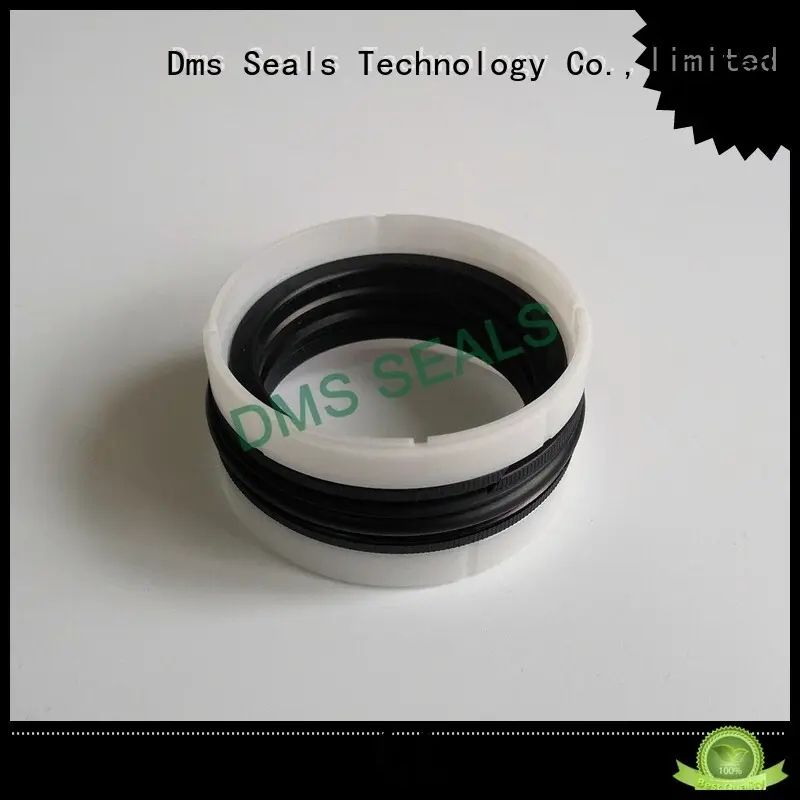 hydraulic seal pneumatic piston seals ptfe DMS Seal Manufacturer company 1