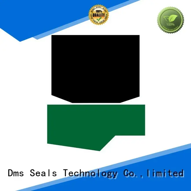 hydraulic
 hydraulic seal rod DMS Seal Manufacturer Brand rod seals ptfe 1