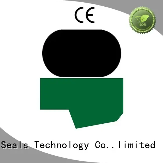 oring rod DMS Seal Manufacturer Brand hydraulic rod seals factory 1