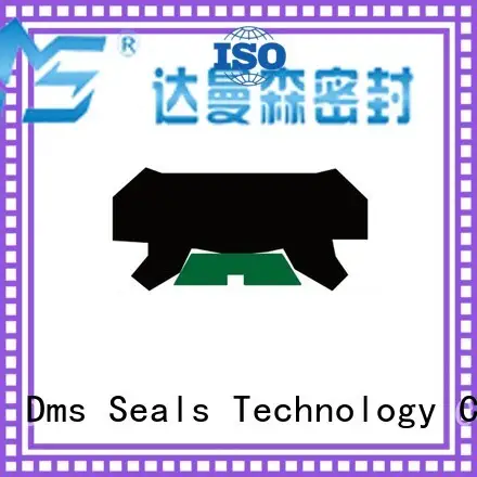 hydraulic rod seals oring ptfe rod Warranty DMS Seal Manufacturer 1