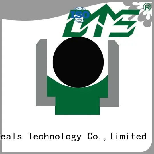 Quality DMS Seal Manufacturer Brand ptfe oring rod seals 1