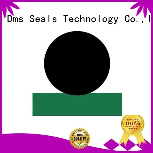 hydraulic rod seals ptfe seal DMS Seal Manufacturer Brand company 1