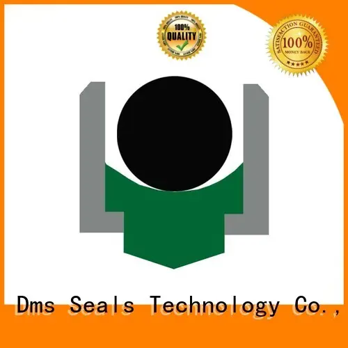 oring rotary seals nbrfkm DMS Seal Manufacturer company 1