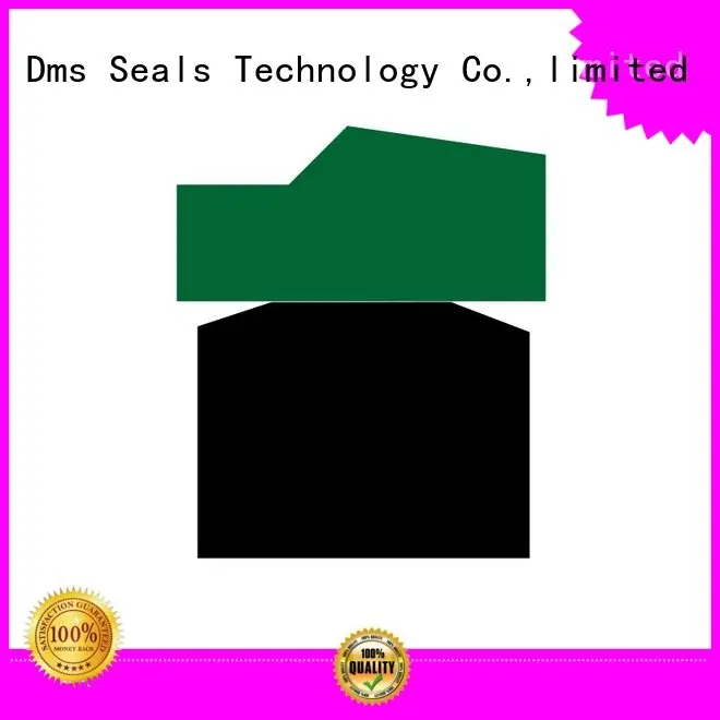 nbrfkm seal piston piston seals DMS Seal Manufacturer Brand company 1