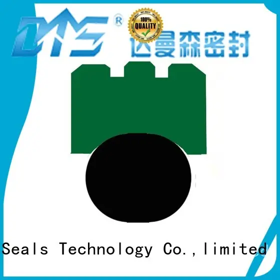 oring nbrfkm DMS Seal Manufacturer Brand rotary seals 1
