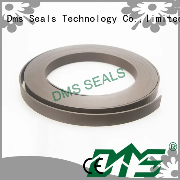 oil seal ring oring ptfe DMS Seal Manufacturer Brand bearing element 1