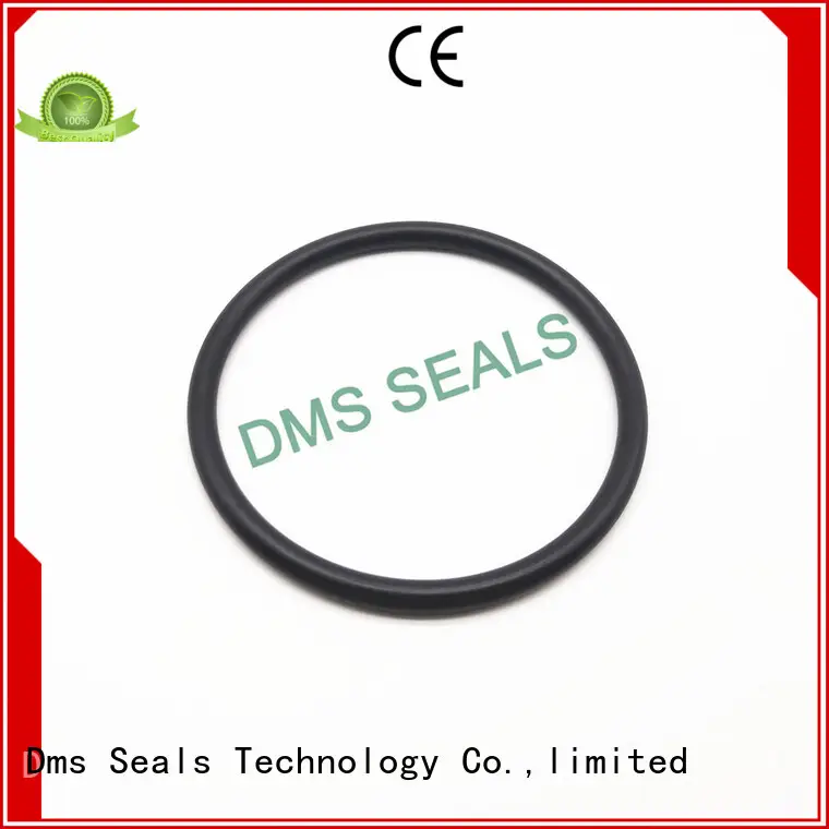 DMS Seal Manufacturer Brand seal ptfe hydraulic o-ring seal manufacture 1