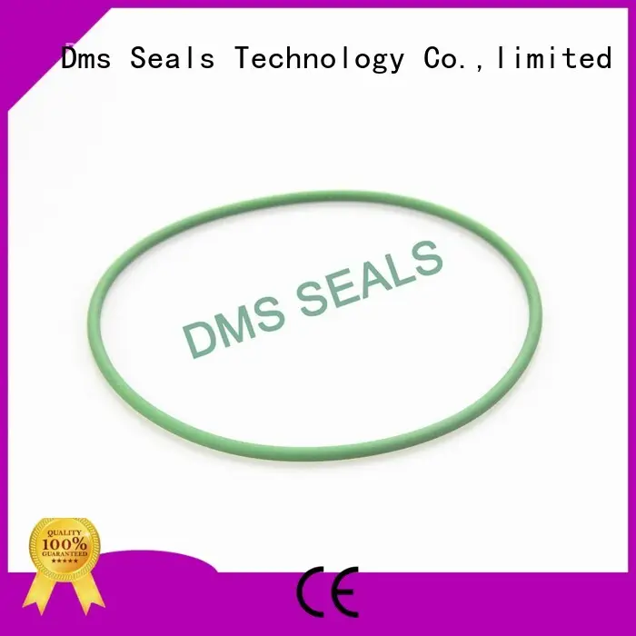 hydraulic ptfe oil seal ring DMS Seal Manufacturer Brand 1
