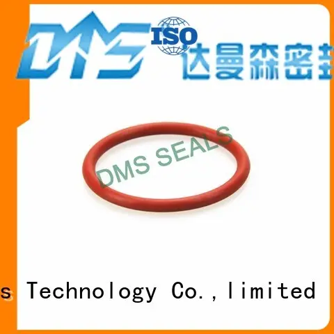 Hot o-ring seal spring DMS Seal Manufacturer Brand 1