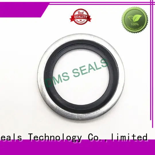 DMS Seal Manufacturer Brand oring ptfe spring metric bonded seals 1