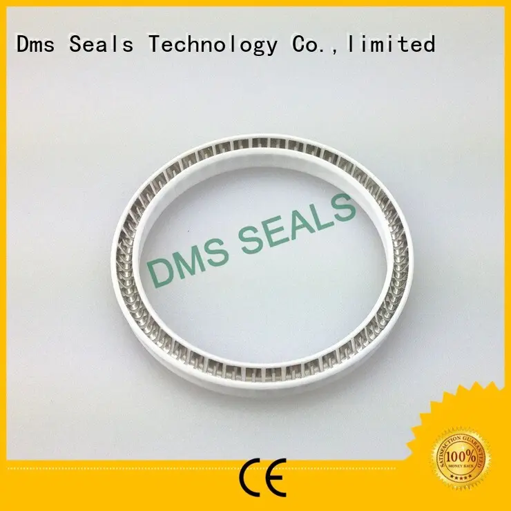 hydraulic oring spring energized seals spring DMS Seal Manufacturer company 1