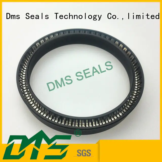 oring spring hydraulic spring energized seals ptfe DMS Seal Manufacturer Brand 1