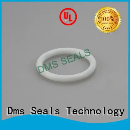 oil seal ring spring seal o-ring seal DMS Seal Manufacturer Brand 1