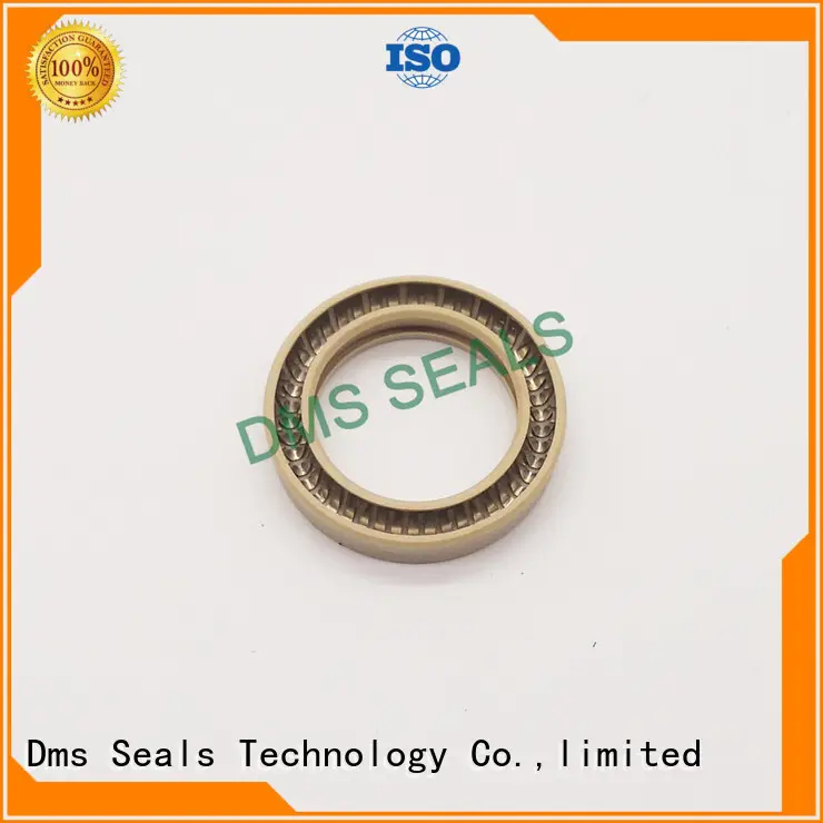 oring seal ptfe spring energized seals DMS Seal Manufacturer Brand 1