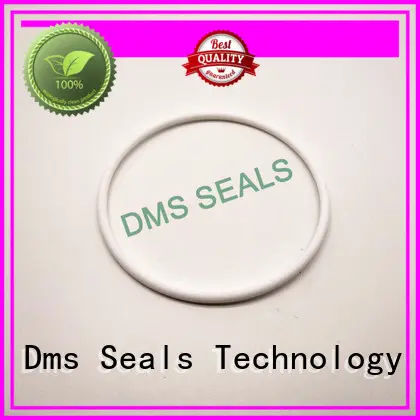 oring seal spring ptfe oil seal ring DMS Seal Manufacturer Brand 1