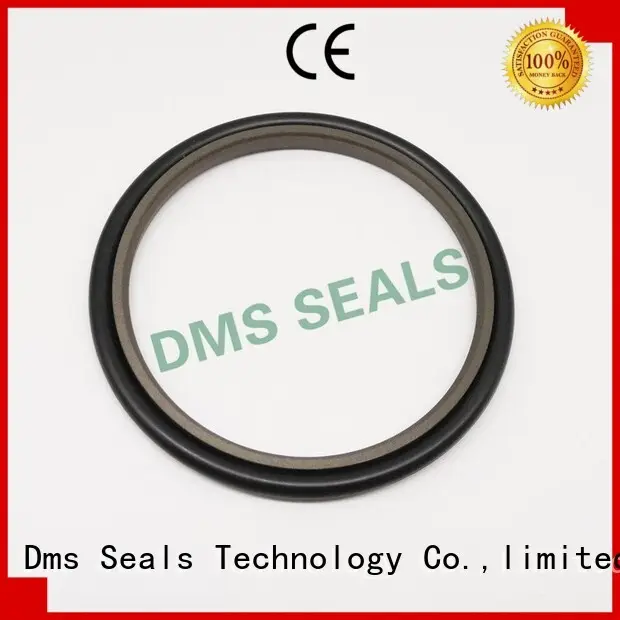 oring ptfe rod seals seal DMS Seal Manufacturer Brand 1
