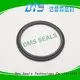 hydraulic rod seals rod ptfe DMS Seal Manufacturer company 1