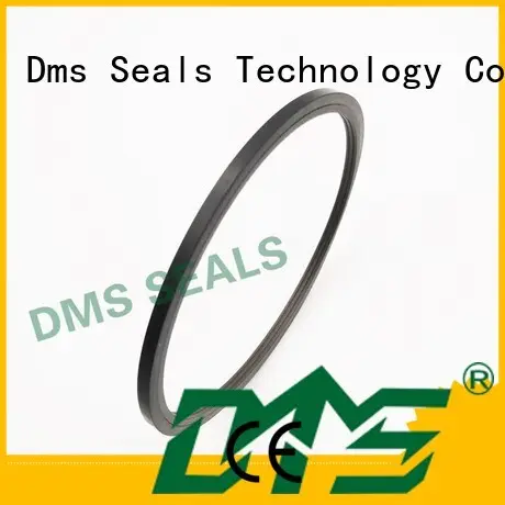 seal ptfe hydraulic rod seals DMS Seal Manufacturer Brand 1