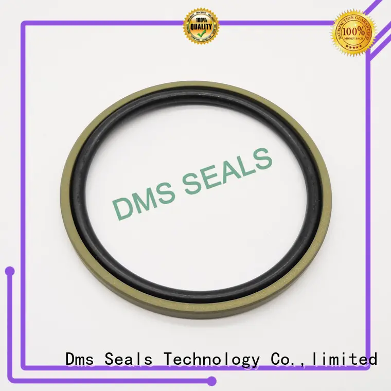 hydraulic seal oring piston seals piston DMS Seal Manufacturer Brand 1