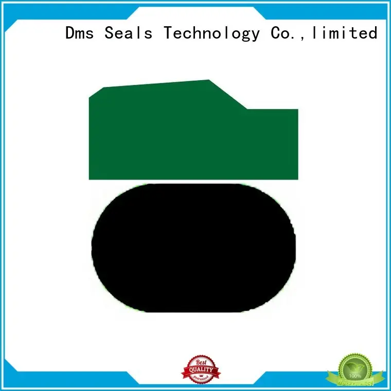 Wholesale oring nbrfkm piston seals DMS Seal Manufacturer Brand 1