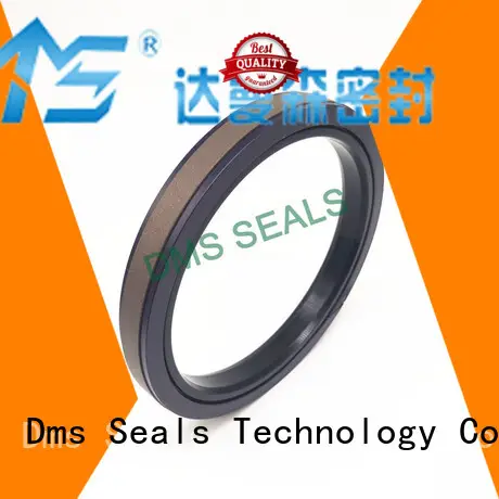 oring ptfe seal DMS Seal Manufacturer Brand pneumatic piston seals factory 1