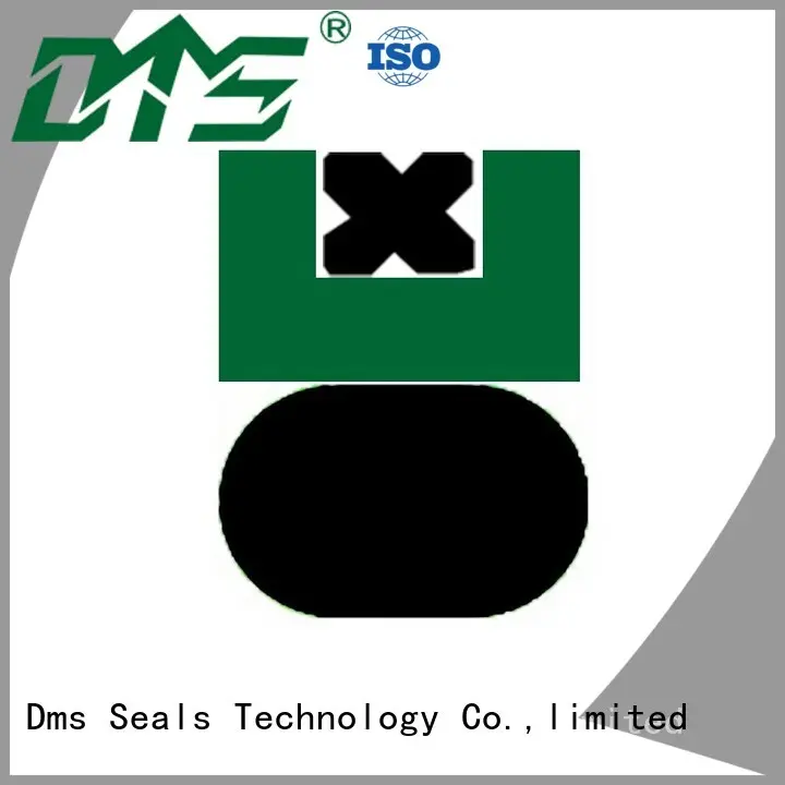seal nbrfkm OEM piston seals DMS Seal Manufacturer 1